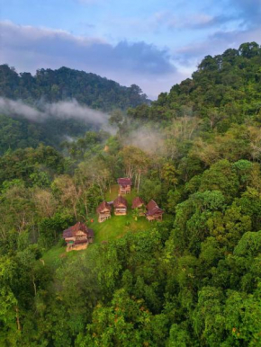 ORANG UTAN TREKING SUMATRA & LOVELY JUNGLE LODGE only book IF you are treking with us